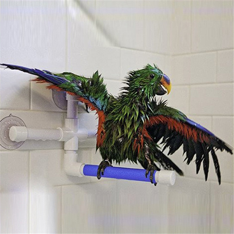 Parrotopia Bathing Oasis Perch