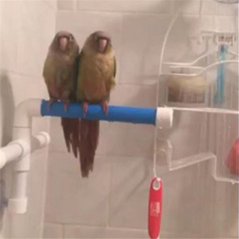 Parrotopia Bathing Oasis Perch