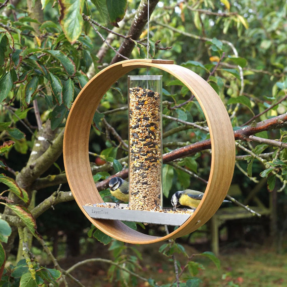 PawsDine Easy Hang Feeder