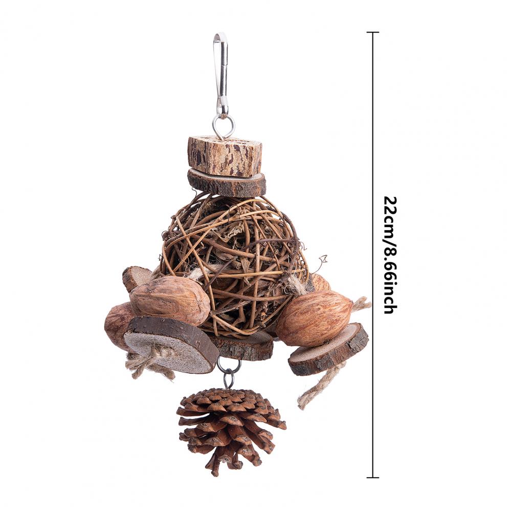 AvianApple Fruit Wood Toy