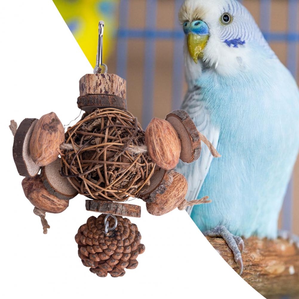 AvianApple Fruit Wood Toy