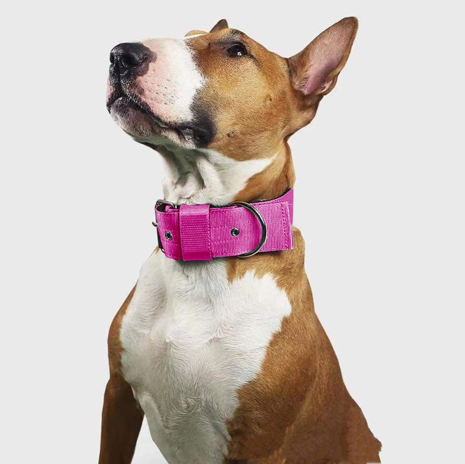 SoftStyle Dog Collar Scarf