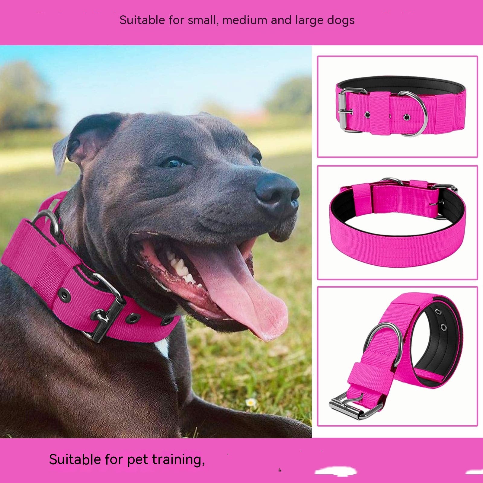 SoftStyle Dog Collar Scarf