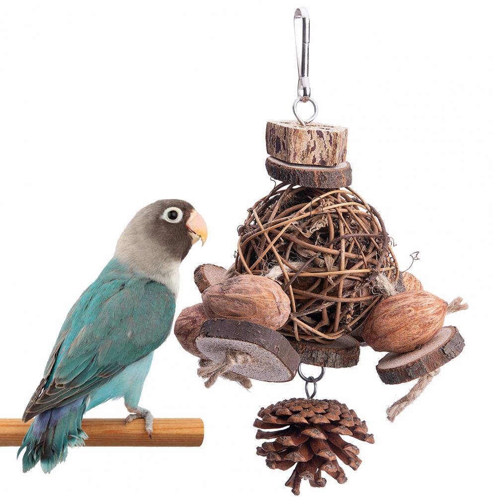 AvianApple Fruit Wood Toy