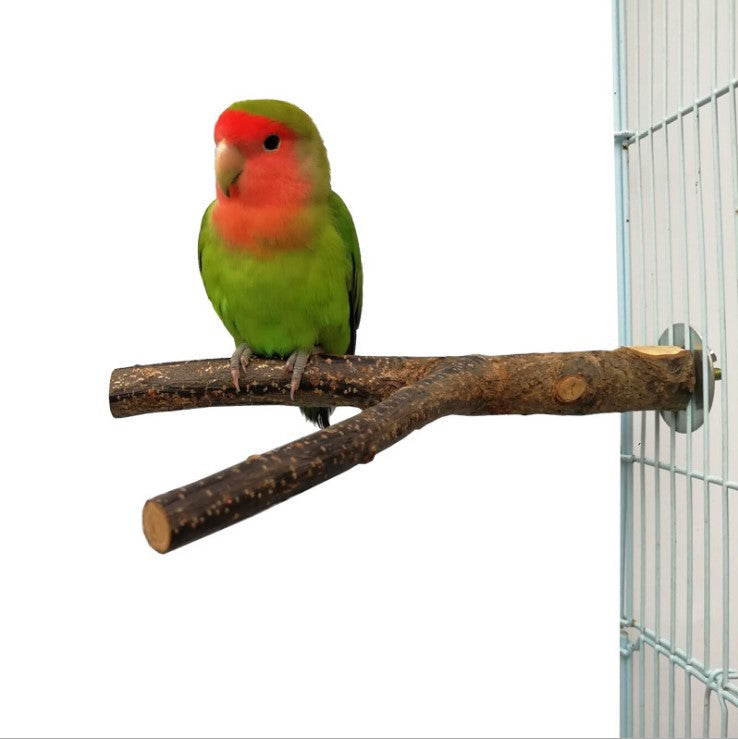 RattanRings Avian Chew Toy Haven